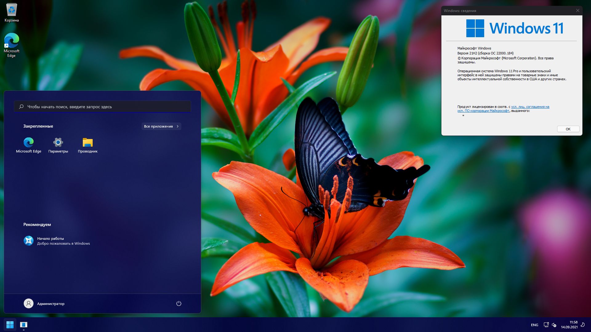 Windows 11 PRO Insider 22000.184 x64 RUS-GX