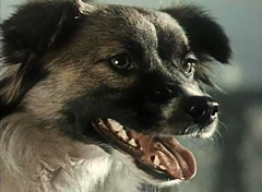 Детское Караоке из Кино