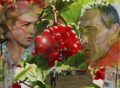 Караоке из Кино