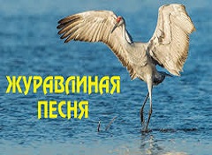 Караоке из Кино