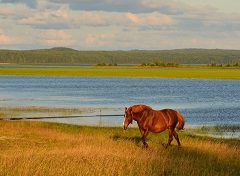 Караоке Русские Народные-2